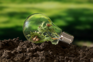 Direttiva UE 2023/1791 Imprese energivore